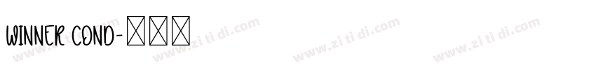 Winner Cond字体转换